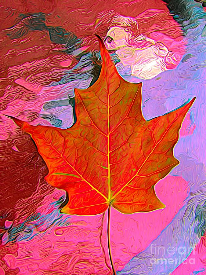 Burnt Orange Autumn Leaf with an Abstract Expressionistic Effect Photograph by Rose Santuci-Sofranko