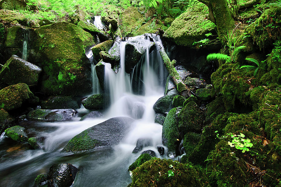 Burrator Waterfall, Dartmoor Photograph by Alan Lomax Photography.