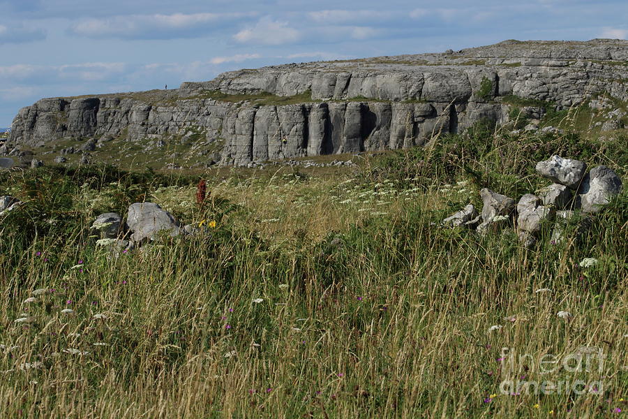 Burren summer evening by Peter Skelton Burren summer evening by Peter Skelton