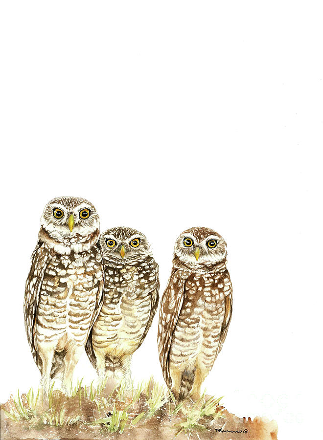 Burrowing Owls Trio Painting by Tracey Hunnewell