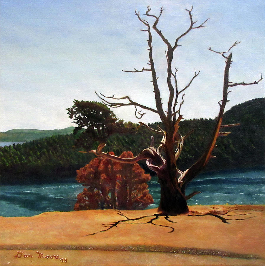 Burrows Island Outlook Painting by Daniel Moore