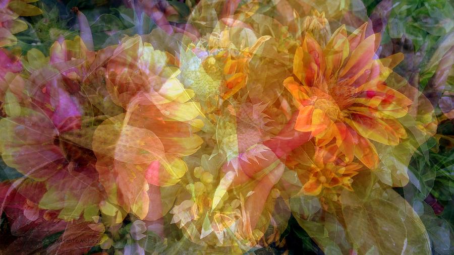 Burst of Flowers Collage Photograph by Kathy Barney
