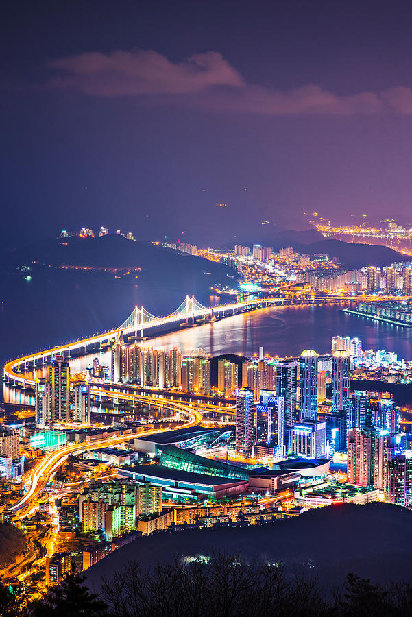 Cityscape Photograph - Busan, South Korea Skyline by Sean Pavone