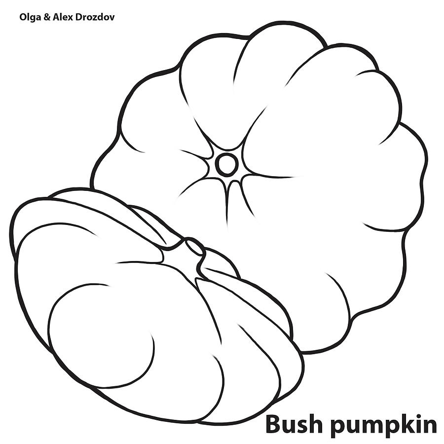 Vegetable Digital Art - Bush Pumpkin by Olga And Alexey Drozdov
