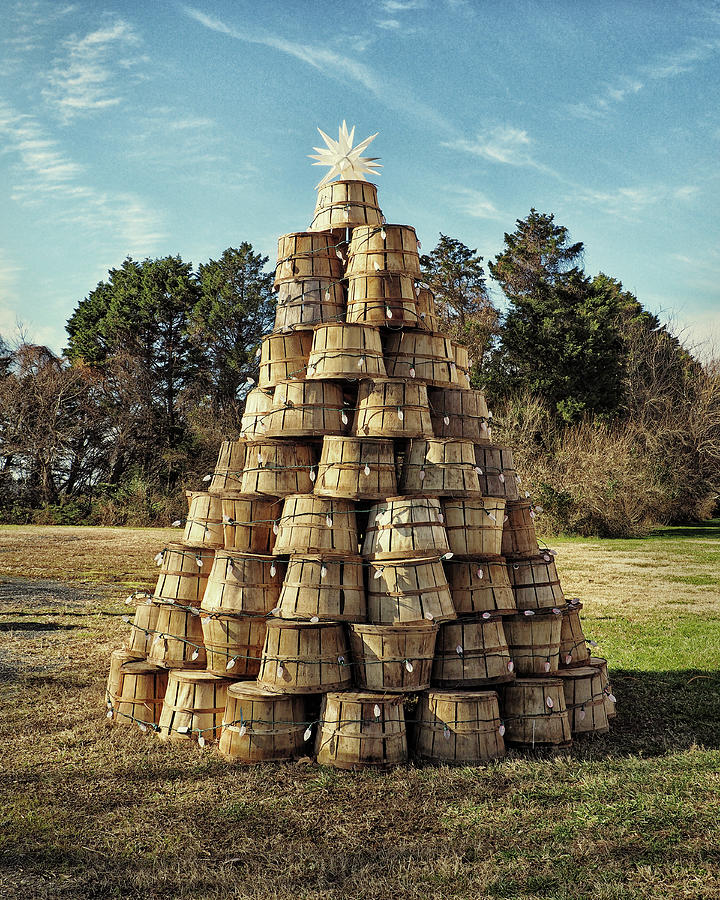 Bushel Basket Christmas Tree Photograph by Bill Swartwout