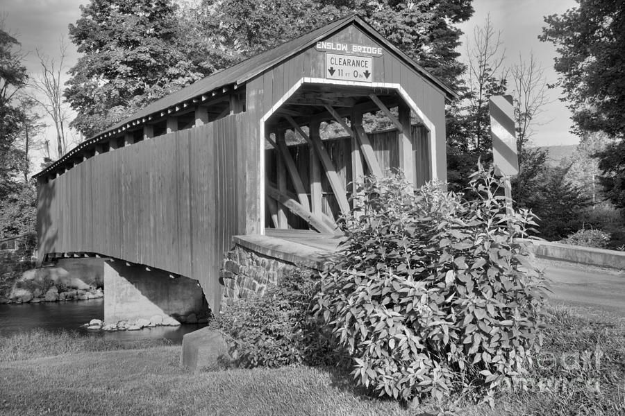 Bushes By The Enslow Covered Bridge Black And White Photograph by Adam Jewell