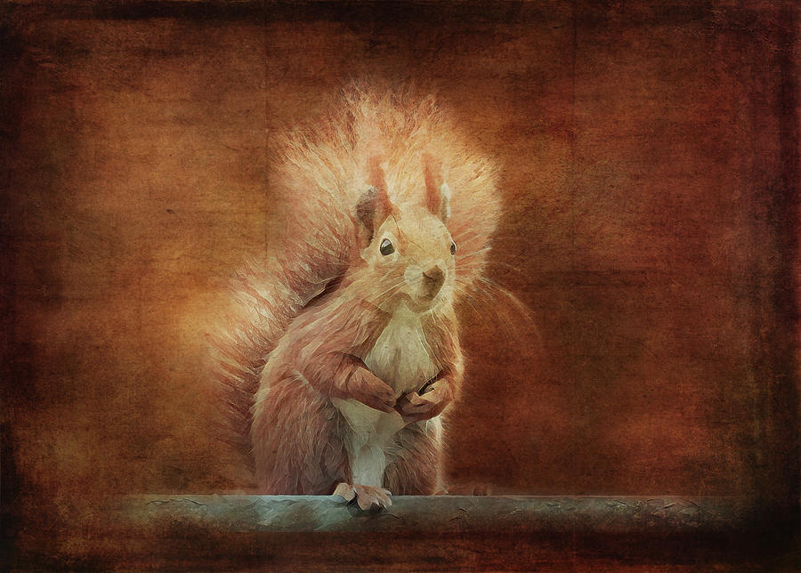 Bushy Tailed Squirrel Digital Art by Terry Davis
