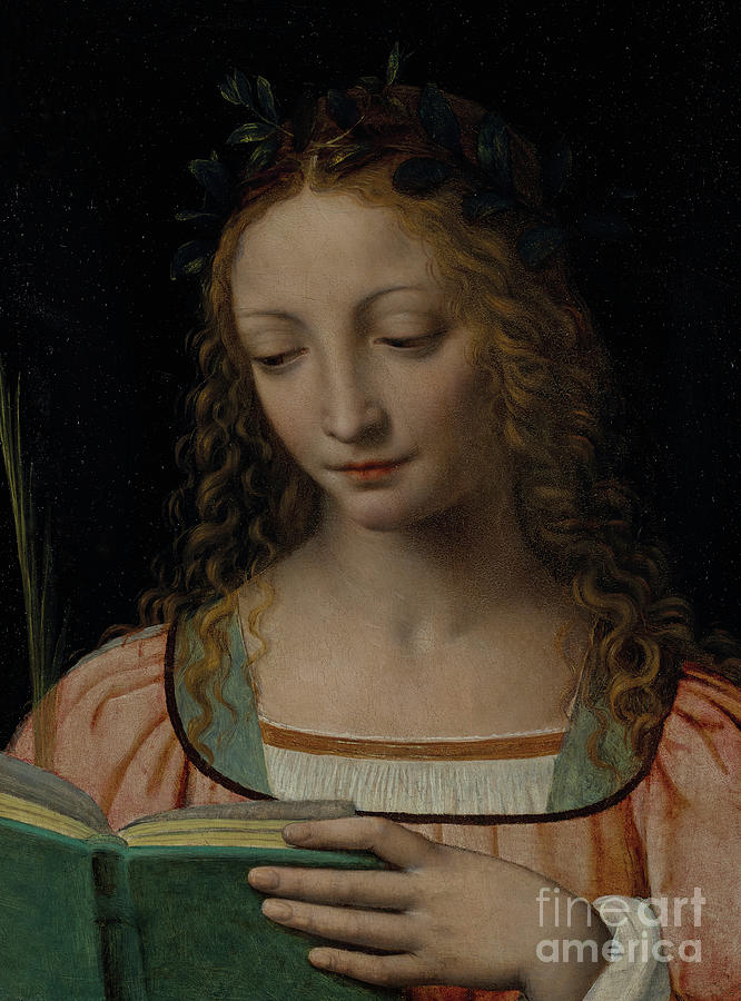 Bernardino Luini Painting - Bust length figure of saint, with a palm and reading the scriptures by Bernardino Luini
