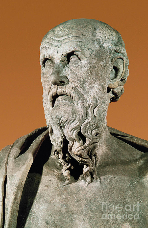 Bust Of Hesiod, Greek Poet Photograph by Greek School Pixels