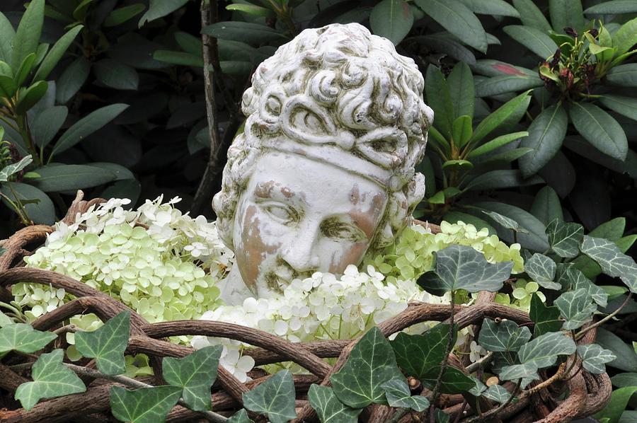 Bust Of Woman As Garden Decor Photograph by Daniela Behr