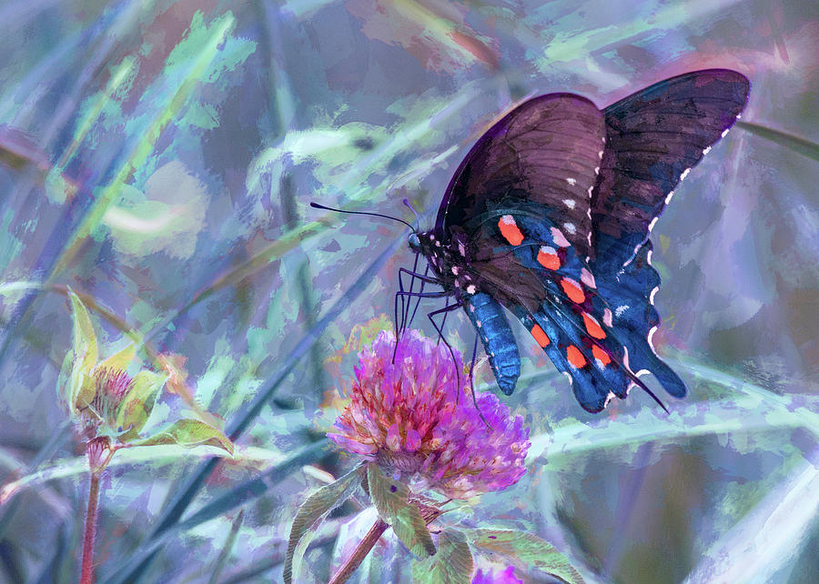 Busy Butterfly, Textured Photograph by Marcy Wielfaert