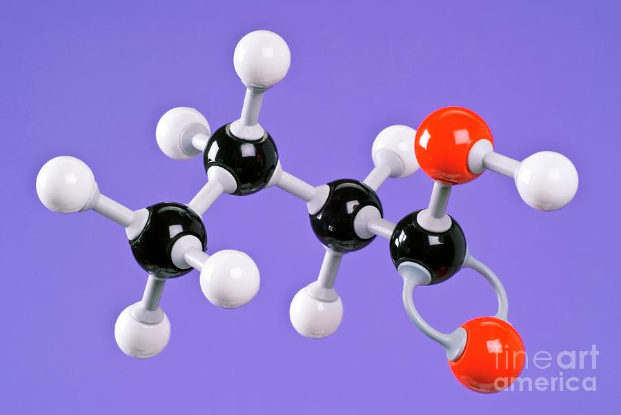 Butanoic Acid Photograph by Martyn F. Chillmaid/science Photo Library