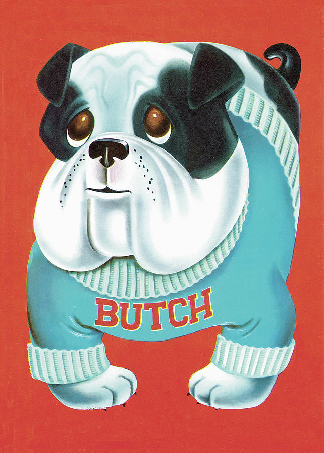 Vintage Drawing - Butch the Bulldog by CSA Images