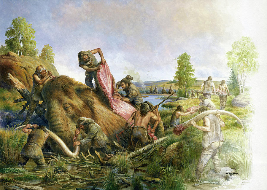 Butchering Mammoth, Illustration Photograph by Christian Jegou