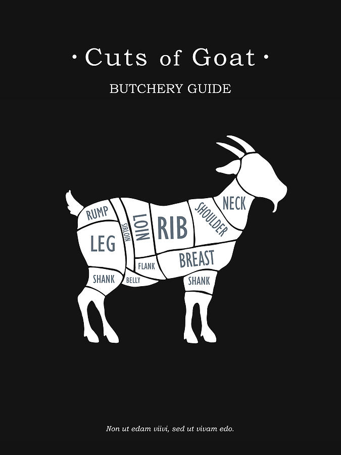 Butchery Guide Cuts Of Goat Photograph by Mark Rogan