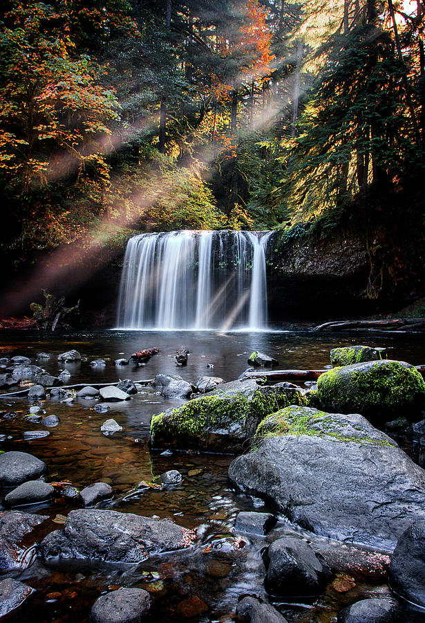 Fall Photograph - Butte Creek, Oregon by Rod Stroh