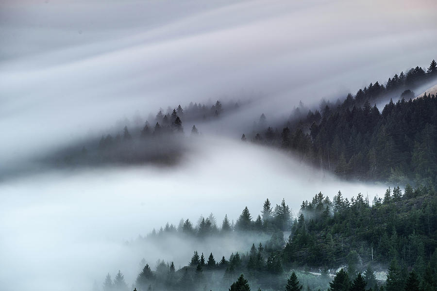 Butter Fog Photograph by Michael Marlow Fine Art America Butter Fog Photograph by Michael Marlow Fine Art America