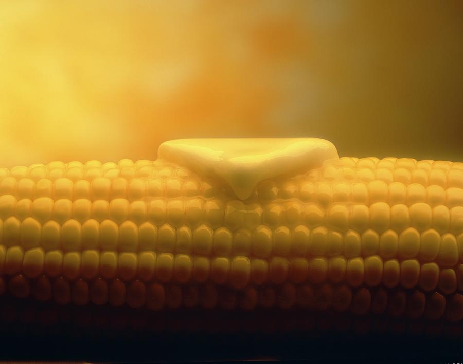 Butter Melting On Four Ears Of Corn Photograph by Rose Hodges