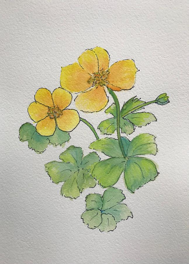 buttercup painting