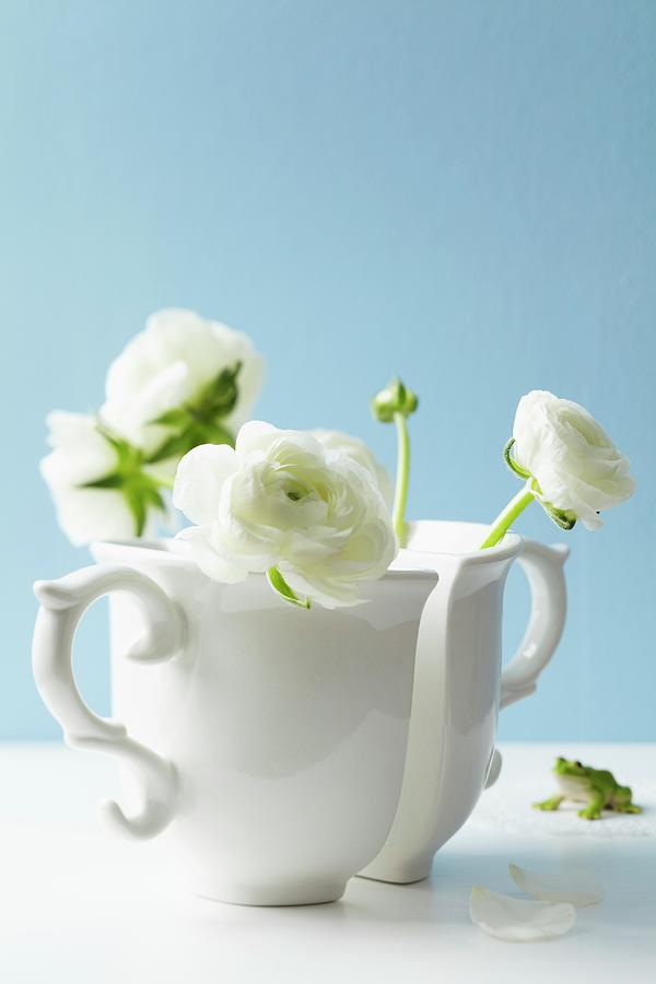 Buttercups In Two Cups Being Used As Vases With A Decorative Frog Photograph by Franziska Taube