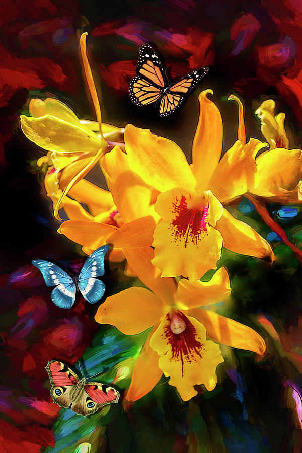 Butterflies and Orchids Photograph by Carlos Diaz