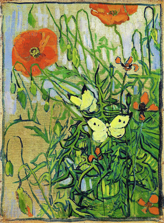 Butterflies And Poppies Digital Remastered Edition Painting By   Butterflies And Poppies Digital Remastered Edition Vincent Van Gogh 