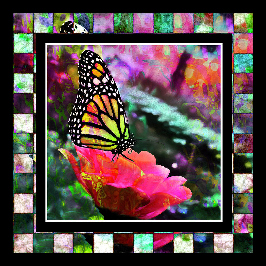 Butterfly Digital Art - Butterflies are Free by Cindy Greenstein