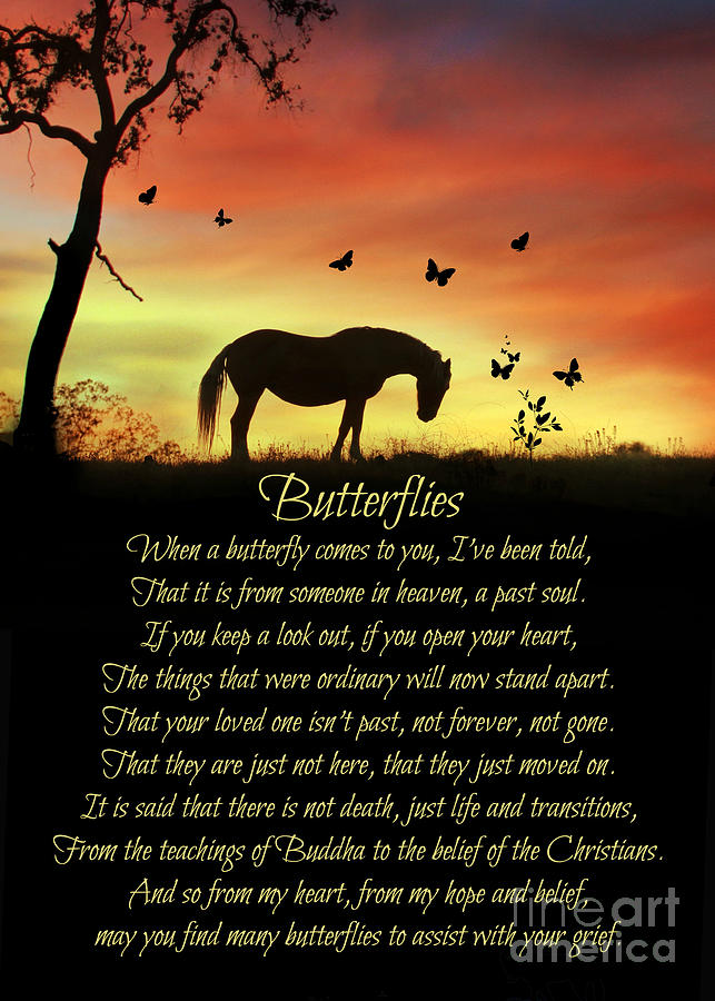 Butterflies, Horse and Butterfly Original Poem, Horse Sympathy, Grieving, Metaphysical Spiritual  Photograph by Stephanie Laird