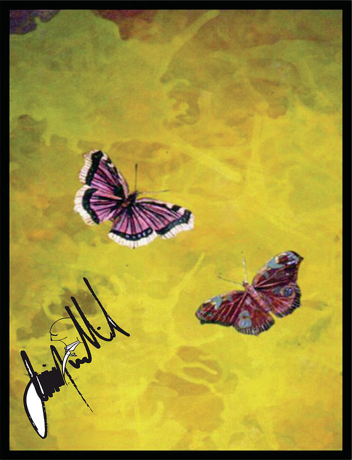 Butterflies Digital Art by Jimmy Williams Butterflies Digital Art by Jimmy Williams