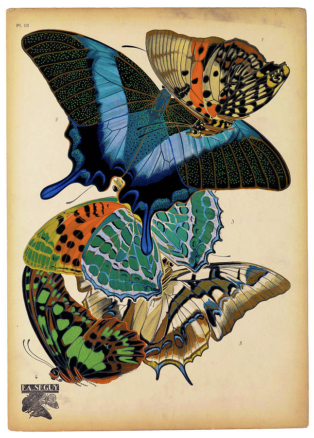 Nature Digital Art - Butterflies Plate 4, E.a. Seguy by Print Collection