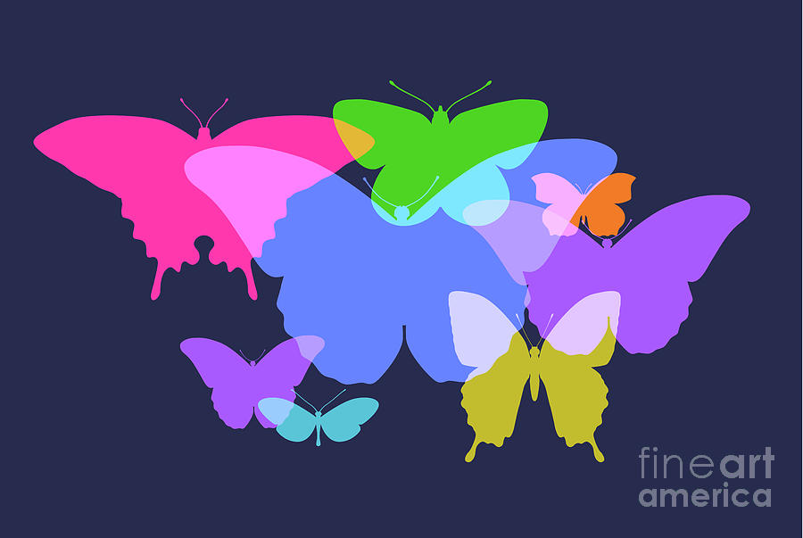 Butterflies Digital Art by Smartboy10