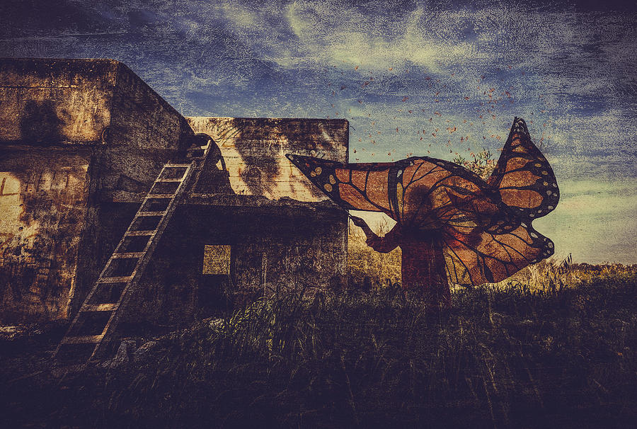 Butterflies Photograph by Yuri Shepelev