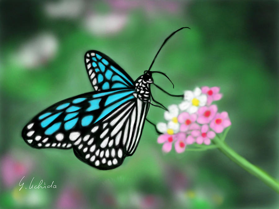 Butterfly Painting - Butterfly 10.28.2018 by Yoshiyuki Uchida