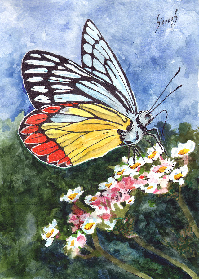 Butterfly 190224 Painting by Sam Sidders