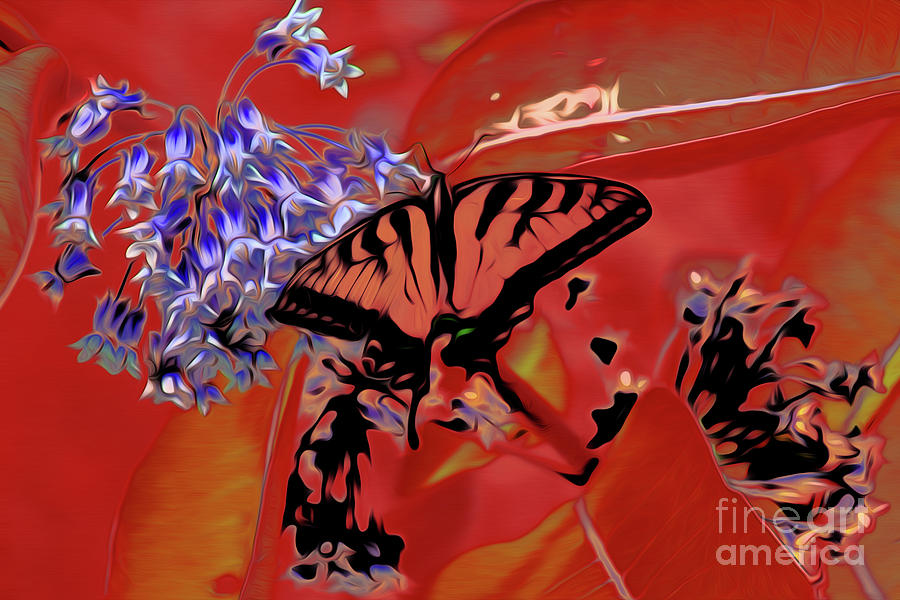 Butterfly 27 Digital Art by Chris Taggart - Pixels