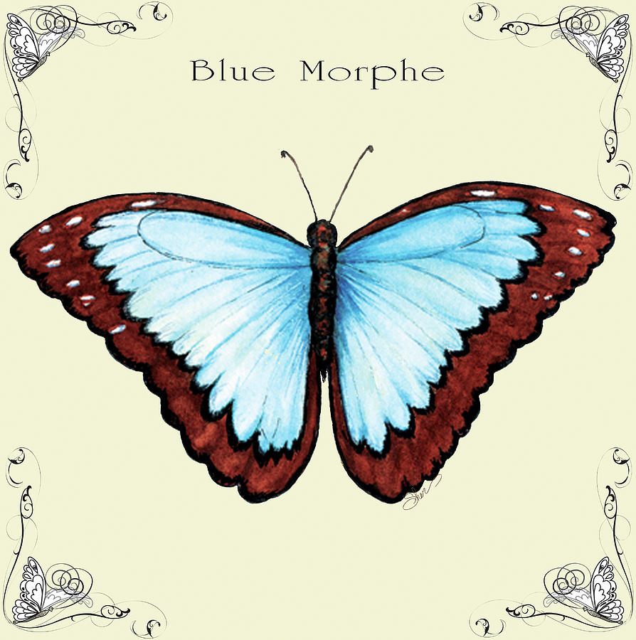 Butterfly Mixed Media - Butterfly Blue Morphe by Sher Sester