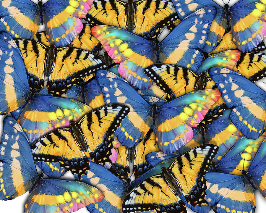 butterfly collage painting