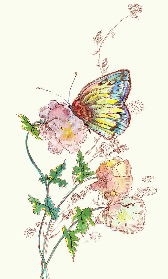 Animal Digital Art - Butterfly Design 2 by Judy Mastrangelo