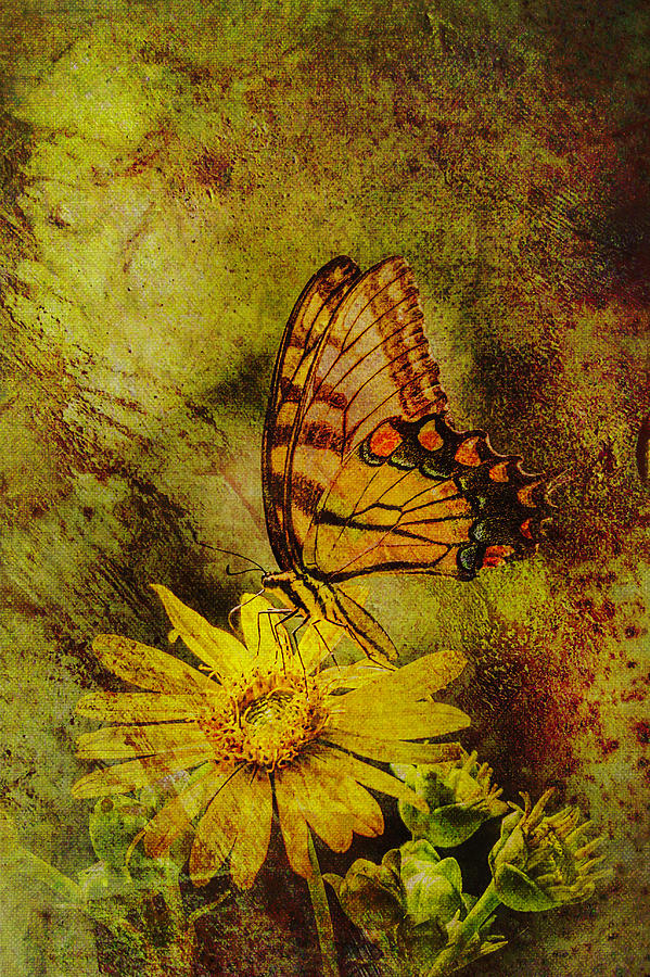 Butterfly Effect Mixed Media