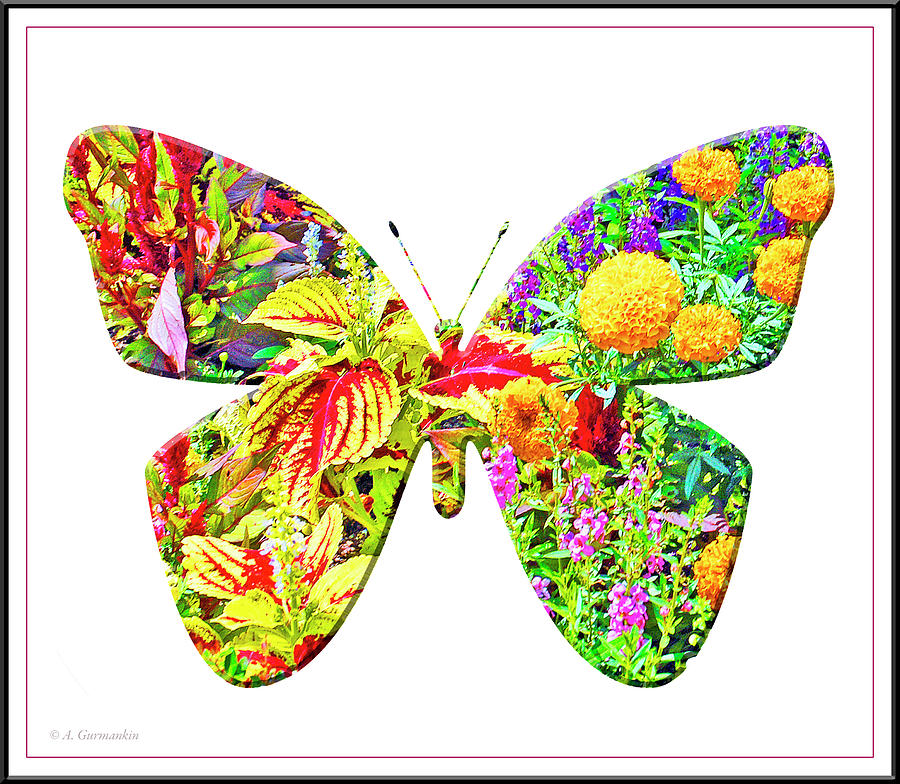 Butterfly Flower Motif Digital Art by A Macarthur Gurmankin