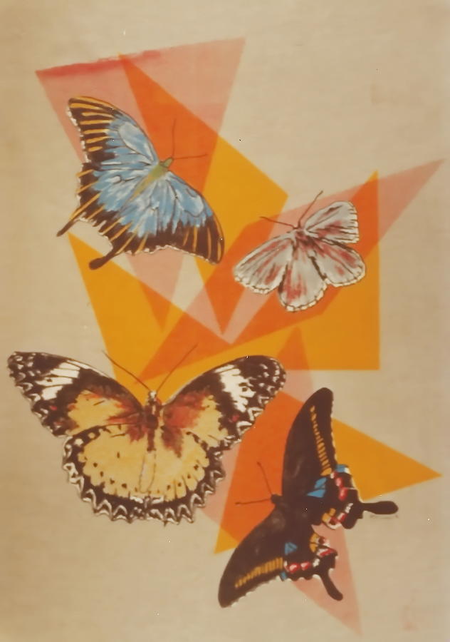 Butterfly Fun Drawing by Barbara Keith