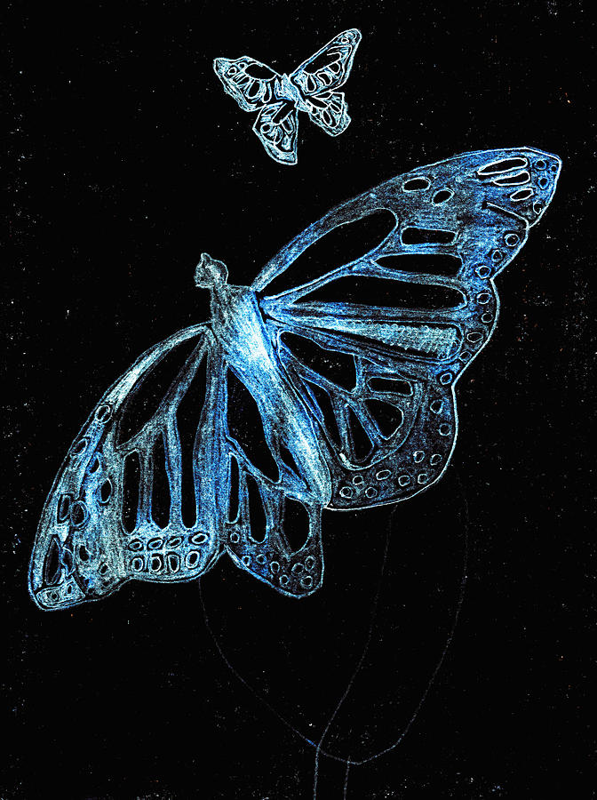 Butterfly Garden at Blue Night 4 Digital Art by Edgeworth Johnstone