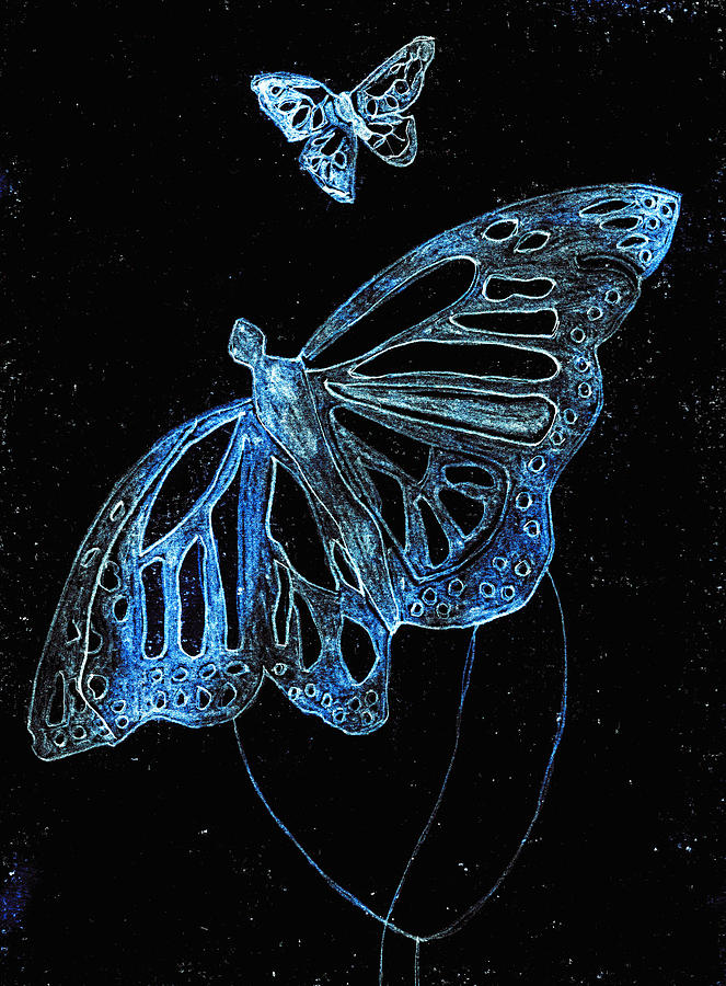 Butterfly Garden at Blue Night 6 Digital Art by Edgeworth Johnstone