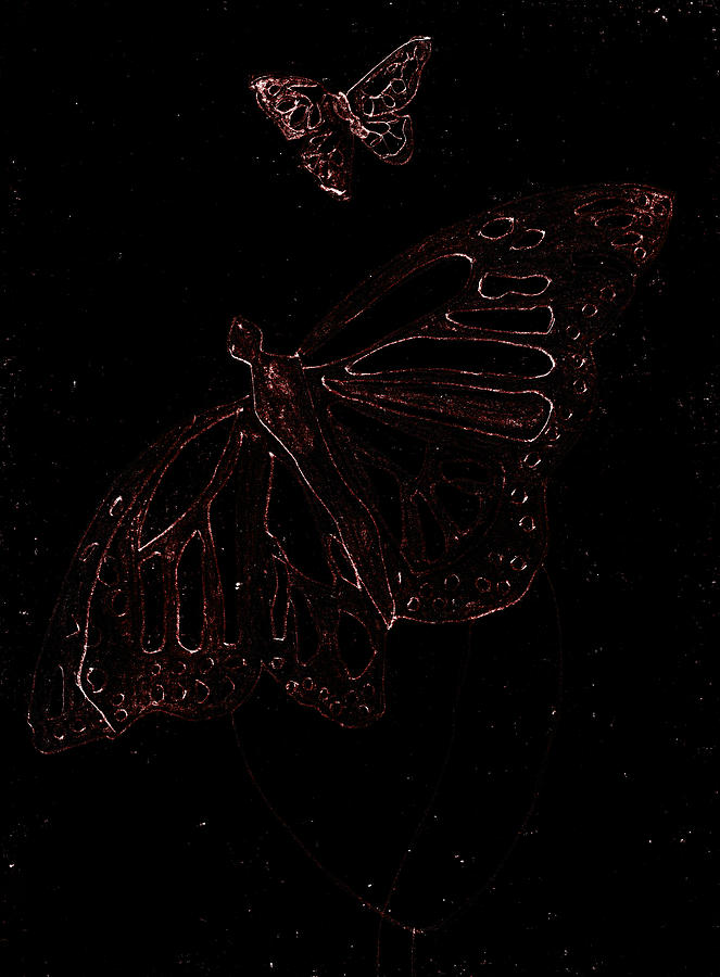 Butterfly Garden at Dark Night 5 Digital Art by Edgeworth Johnstone