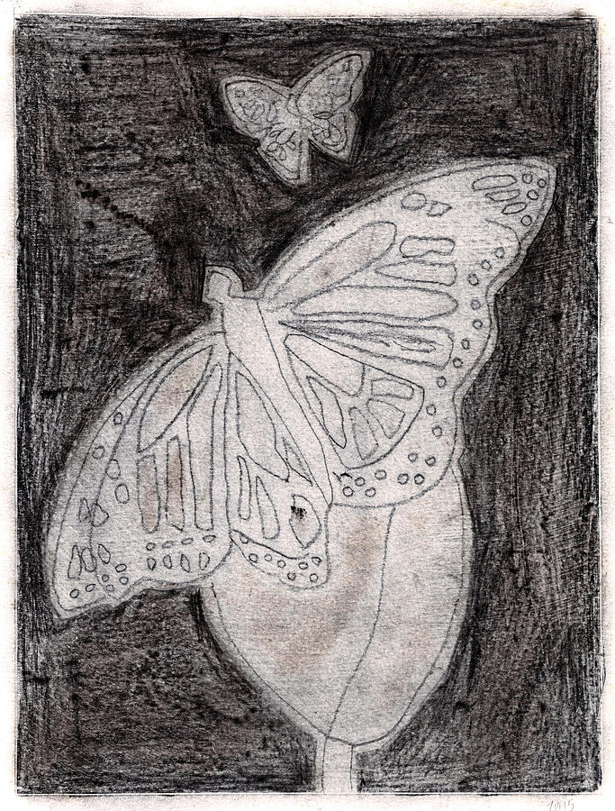 Butterfly Garden at Night 18 Drawing by Edgeworth Johnstone