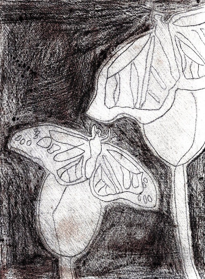 Butterfly Garden at Night 22 Drawing by Edgeworth Johnstone