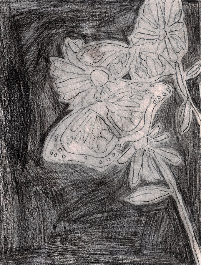 Butterfly Garden at Night 24 Drawing by Edgeworth Johnstone