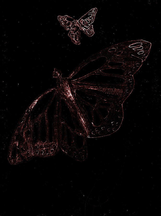 Butterfly Garden at Night 3 Digital Art by Edgeworth Johnstone
