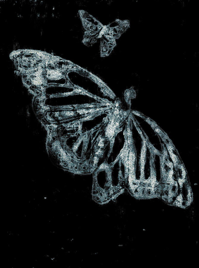 Butterfly Garden at Night 38 Digital Art by Edgeworth Johnstone