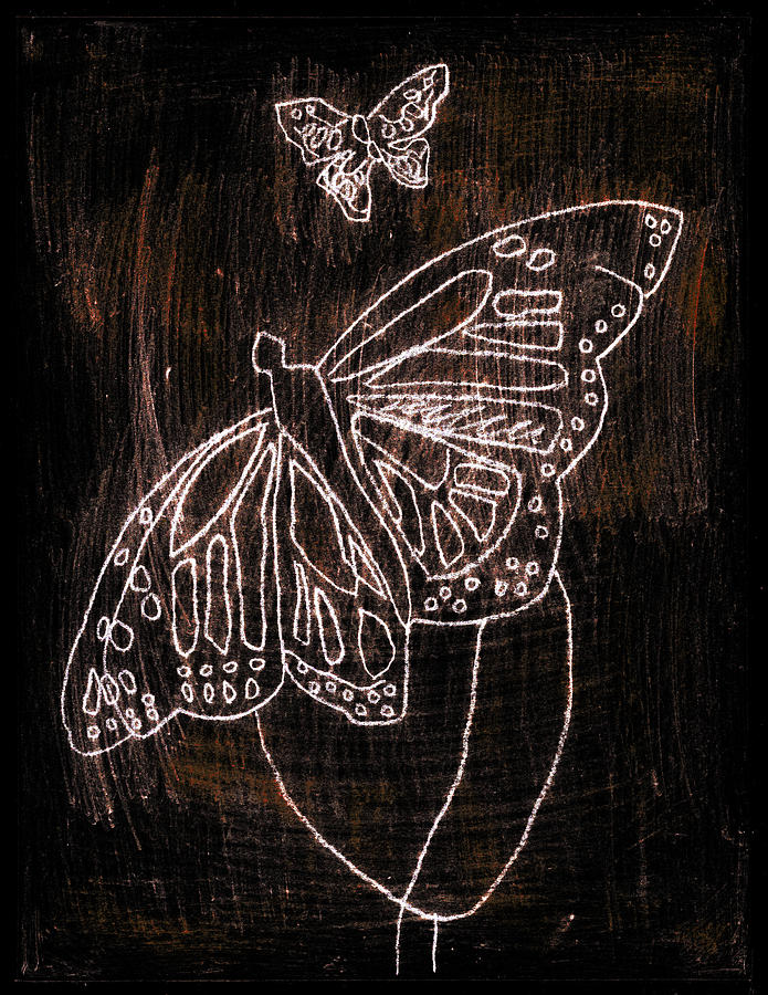 Butterfly Garden at Night 7 Digital Art by Edgeworth Johnstone